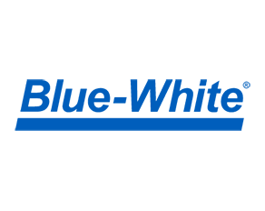 Blue-White CHEM-FEED® CFPS-2 Plastic Duplex Skid System