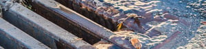 stormwater