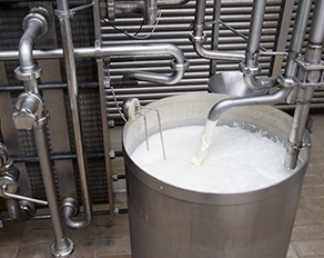 Food & Beverage Processing